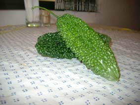 にがうり(ゴーヤ)